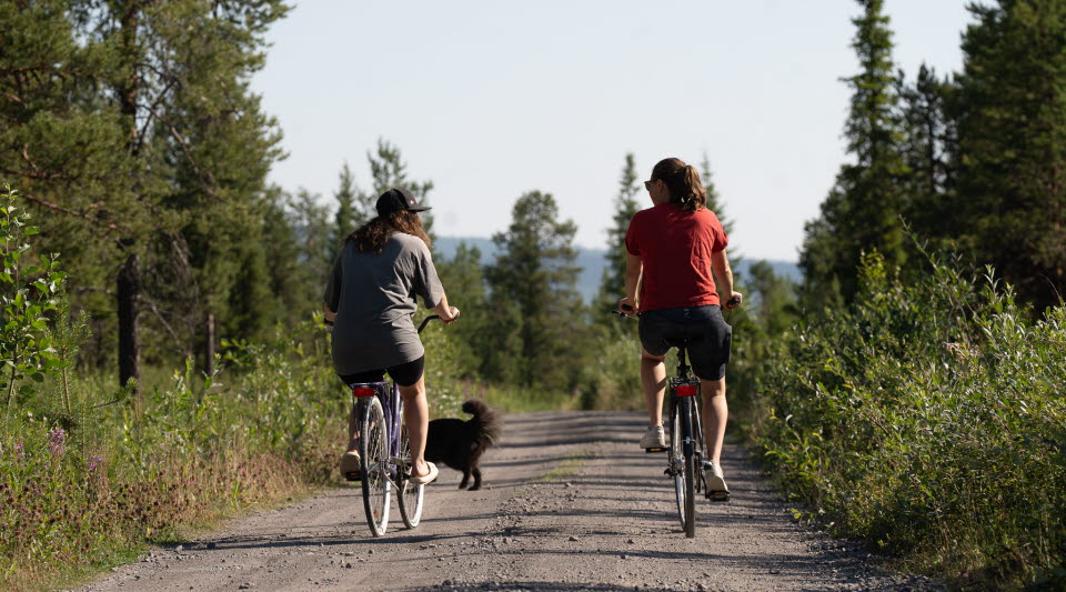 Två personer som cyklar på en skogsväg