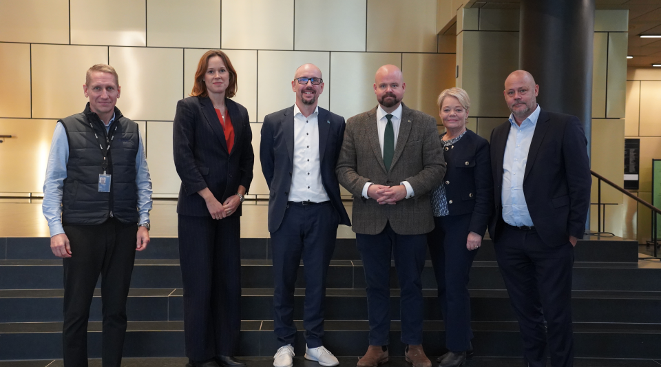 Gästerna på stadshustrappan. 