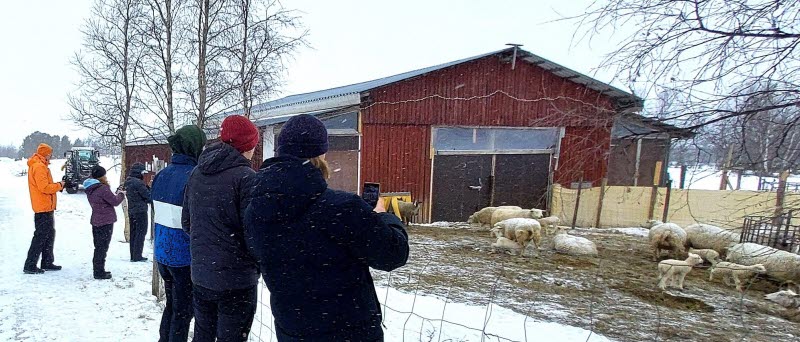 Stadsbyggnadsavdelningen Kiruna kommun på besök hos fårföreningen i Kuttainen