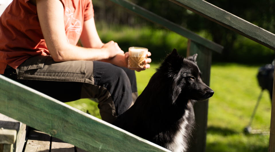 bild på hund och en person som dricker kaffe