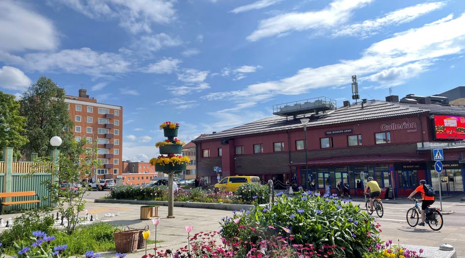 Fotot visar blommor med byggnader, människor och en blå himmel i bakgrunden.