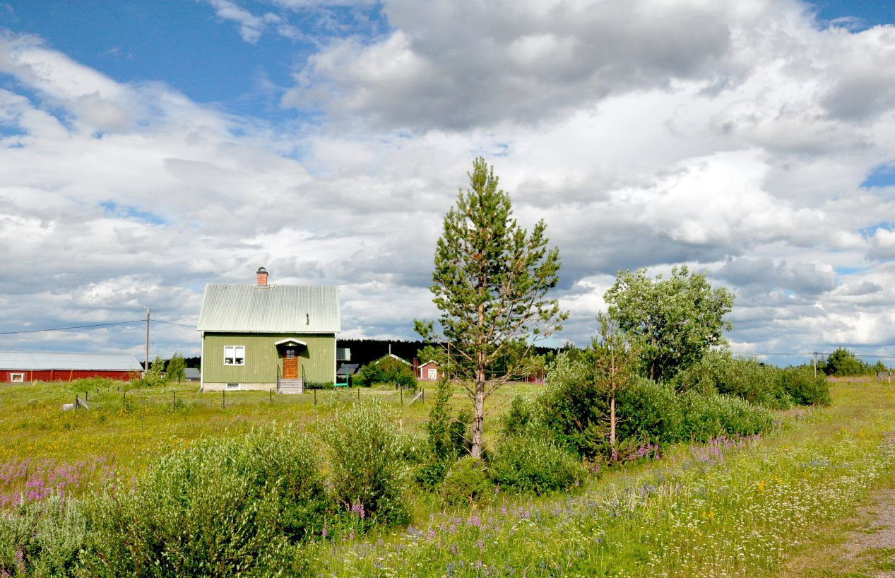 Befintligt bostadshus inom Kaalasjärvi 1:3<2