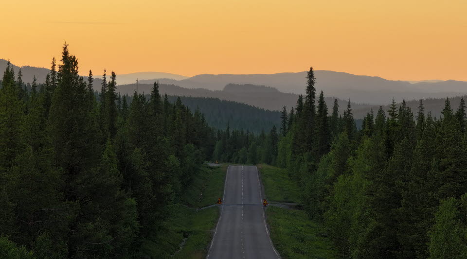 En väg som sträcker sig genom skogslandskap