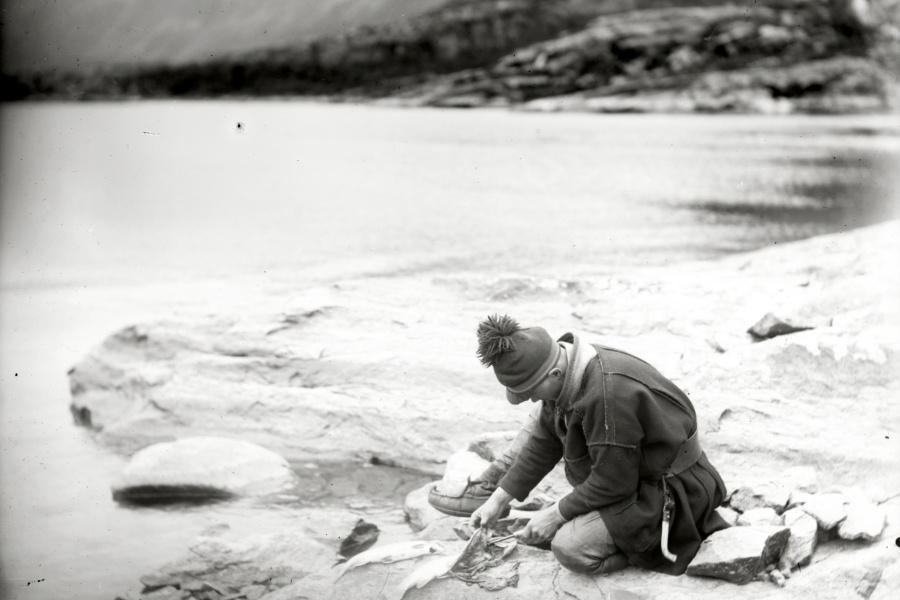 Janne Knut Sunna rensar nyfångad fisk vid stranden av Suorvajärvi, den 5 september 1918. Foto: Borg Mesch