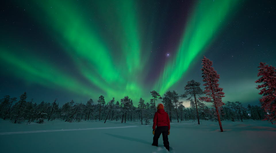 En person som står i snön och kollar mot norrsken